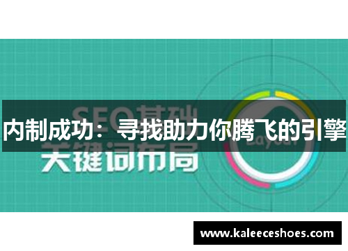 内制成功：寻找助力你腾飞的引擎